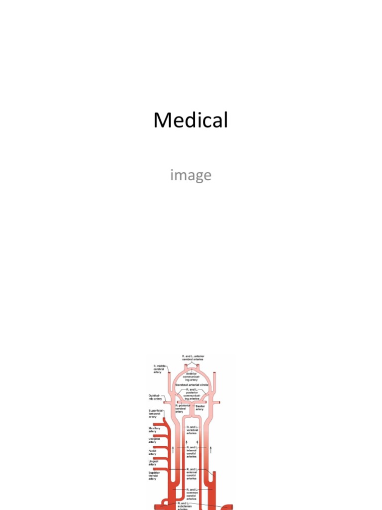 Medical Image | PDF