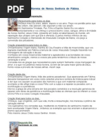 Novena-de-Nossa-Senhora-de-Fatima.pdf