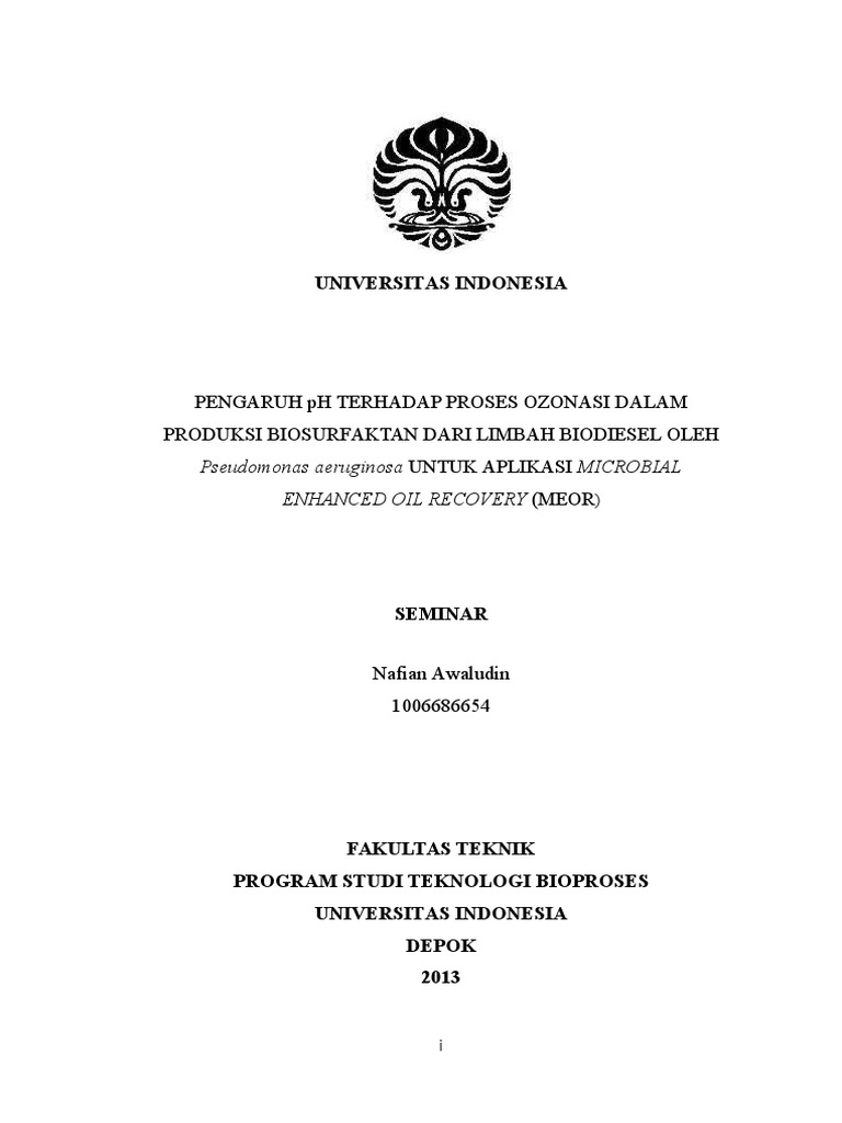 Proposal Skripsi Nafian Awaludin Ui
