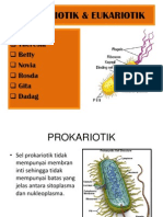 Sel Prokariotik Dan Eukariotik1