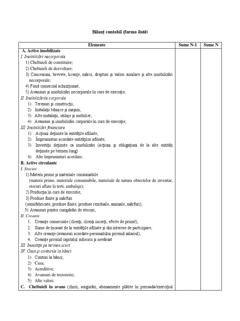 Macheta Bilant Contabil | PDF