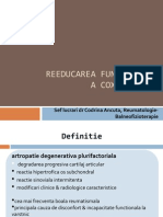BFKT Coxartroza CAncuta2013