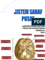 Sistem Saraf Pusat