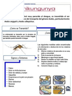 Chikungunya 1