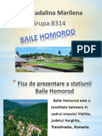 Baile Homorod