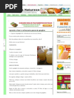Aprenda a Fazer a Refrescante Gasosa de Gengibre _ Cura Pela Natureza.com