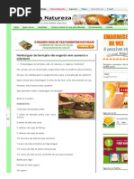 Hambúrguer de Berinjela Não Engorda Nem Aumenta o Colesterol _ Cura Pela Natureza.com
