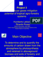 Greenhouse Gases Mitigation Potential of Tropical Agro-Forestry Systems.