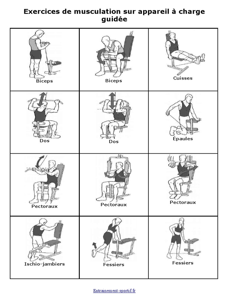 Programme Complet Musculation Avec Charge Guidée Pdf