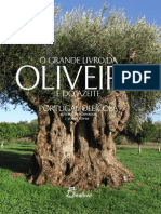 Grande Livro Da Oliveira e Do Azeite Portugal Oleicola