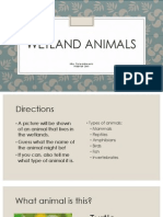 Wetland Animals