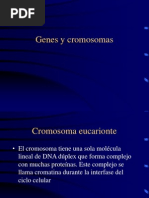 cromosomas