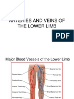 L14-Arteries of The Lower Limb-Done