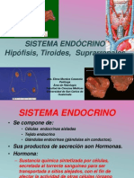 Sistema Endócrino Hipófisis, Tiroides, Suprarrenales