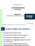 Macroeconomics: Introduction To Economic Fluctuations