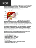 Download HepatitisbyAlthafFathanSN252461230 doc pdf