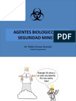 Agentes Biologicos en Mineria