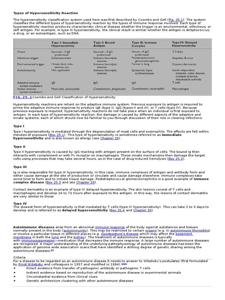 Types of Hypersensitivity Reactions Explained | PDF | Autoimmunity ...