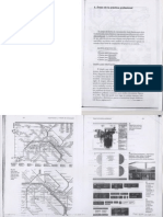 Areas de La Practica Profesional