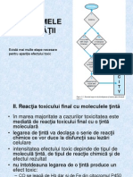 curs 6 mecanisme ale toxicit- ¢Ä-£Å£ii