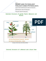 Bragrisc - Plant Morphology and Physiology