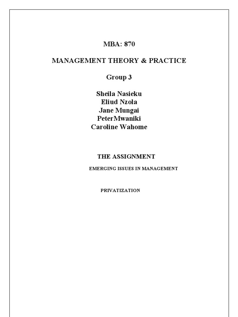 Theories Of Privatization In Economics