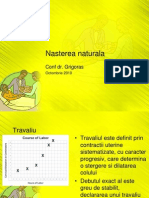 Nasterea Nat 2010