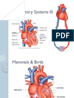 13 Circulatory Systems III PPT