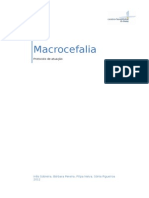 Protocolo Macrocefalia