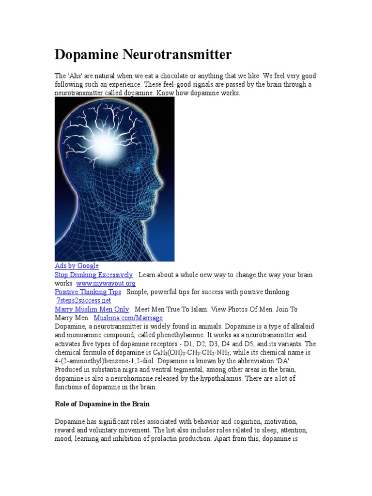 Dopamine Neurotransmitter Pdf Dopamine Reward System