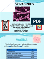 VULVOVAGINITIS