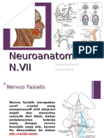 Perjalanan Nervus Fasialis Neurologi