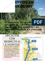 Suelo Campos en Venta y Cultivos en Paraguay Proyecto Chovoreca