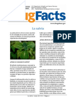 Drugfacts Salvia Spanish 052013 0