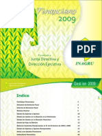 Informe Ejecutivo 2009