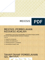 meiosis.pptx