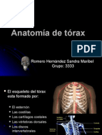 Anatomía de Tórax