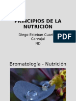 Principios de Nutricion