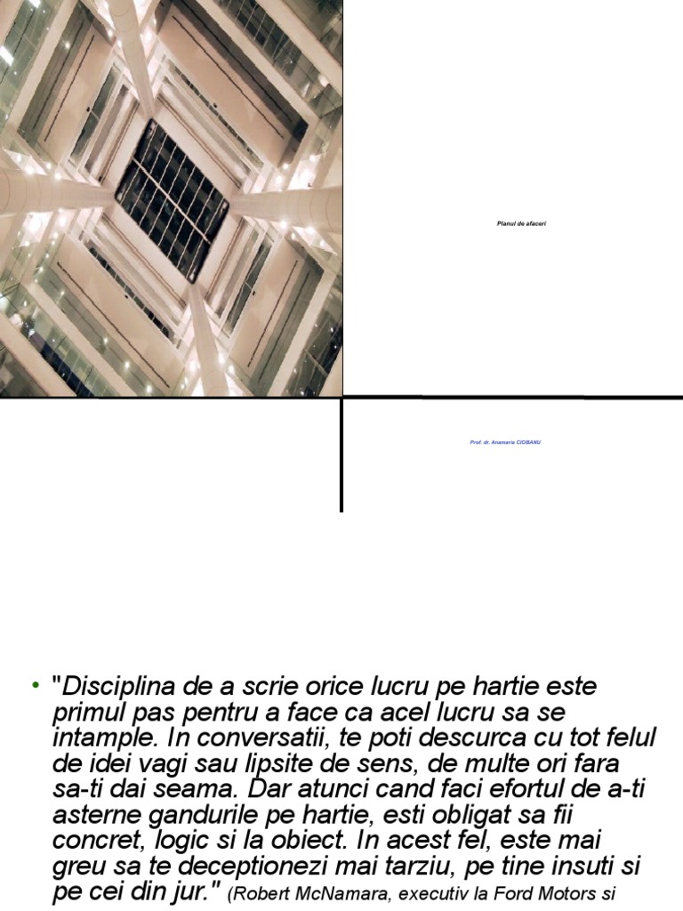 Curs2 - Planul de Afaceri | PDF