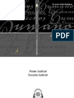 Derechos Humanos y Justicia Penal - Javier Llobet Rodríguez