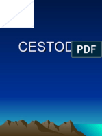 Cestoda