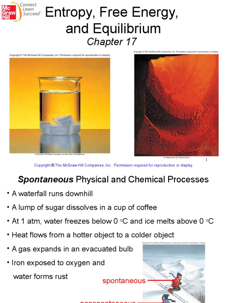 Chapter 17 Entropy Free Energy and Equilibrium | PDF | Gibbs Free ...