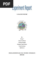Download Laporan Enzim Katalase Berbahasa Inggris by vandrest SN25256872 doc pdf