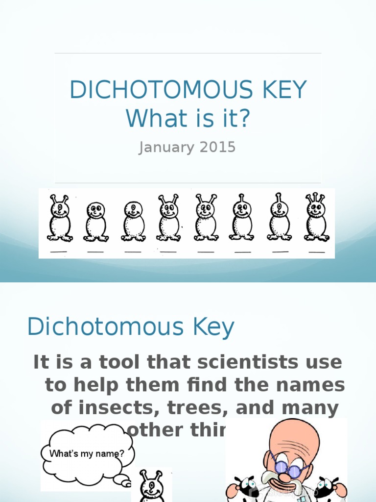 Understanding Dichotomous Keys | PDF | Sharks | Nature