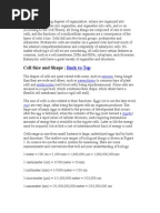 Cell Organelles Worksheet KEY | Organelle