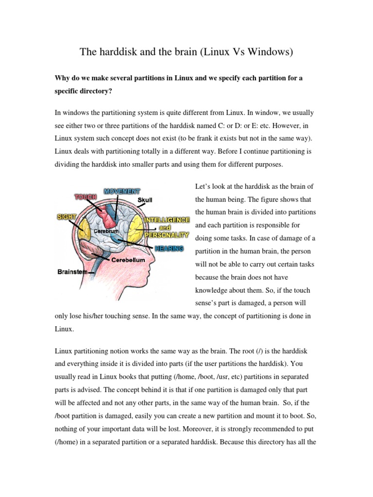 Linux Partitioning vs. Brain Function | PDF | Computers