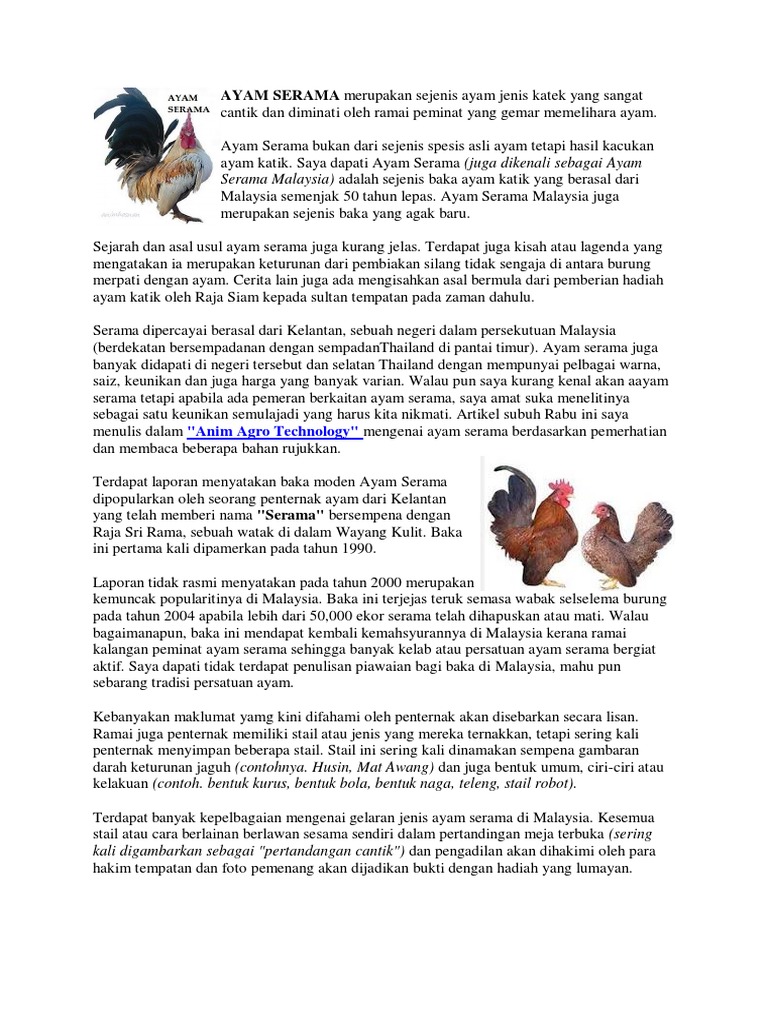 Ayam Serama PDF  PDF