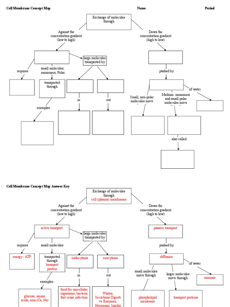 Cell Membrane  Concept Map  PDF  Cell Membrane  Cell Biology Intended For Cell Concept  Map Worksheet Answers