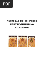 206566821 Protecao Do Complexo Dentino Pulpar Resumo