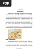 Download ANTIBIOTIKA WwwhoirulblogcoCc Antibiotika Adalah Zat Yang Dihasilkan by hoirul22121842 SN25264203 doc pdf